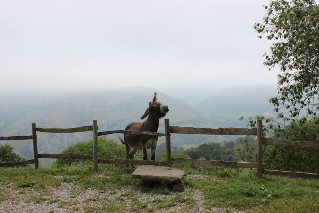Los Pradones San Roque de Ríomiera Buitenkant foto